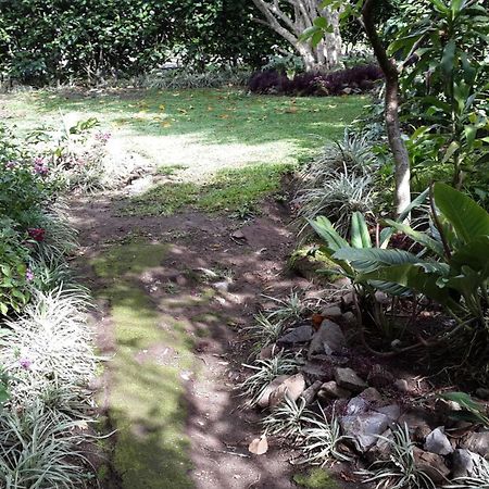 Hotel Las Orquideas Monteverde Bagian luar foto