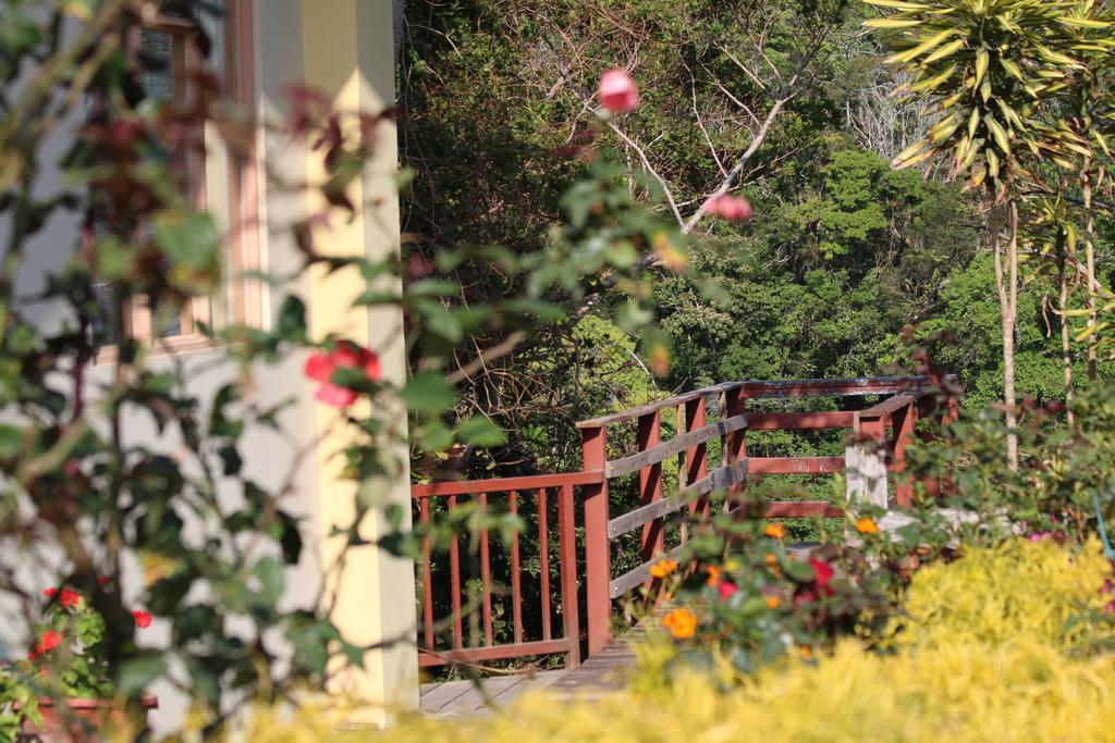 Hotel Las Orquideas Monteverde Bagian luar foto